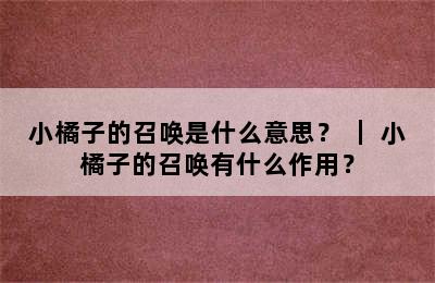 小橘子的召唤是什么意思？ ｜ 小橘子的召唤有什么作用？